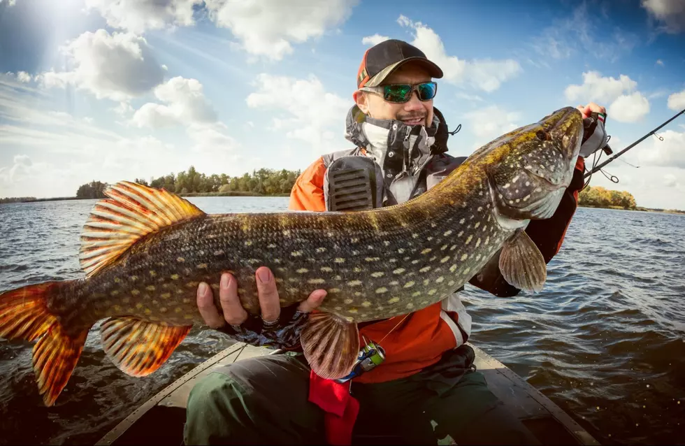 Boise Man Sets Record Going Fishing All 365 Days Of 2018