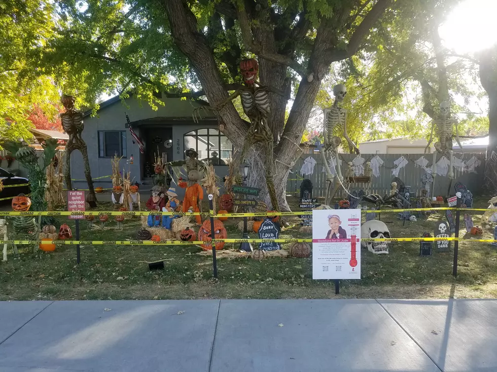 Skeletons for St. Jude, Photo by Holly Johnson
