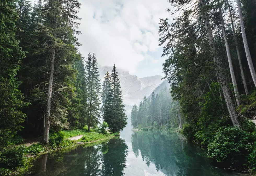 Stunning Photos & Facts About All 9 National Forests in Idaho