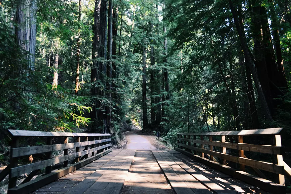 3 Fun Facts About the Boise National Forest & Stunning Pictures