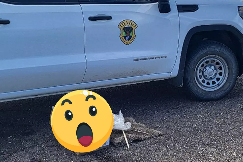 Warm Weather Is Bringing Destruction To Idaho’s Great Outdoors
